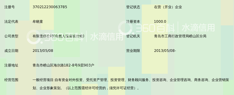 青岛国证投资有限公司